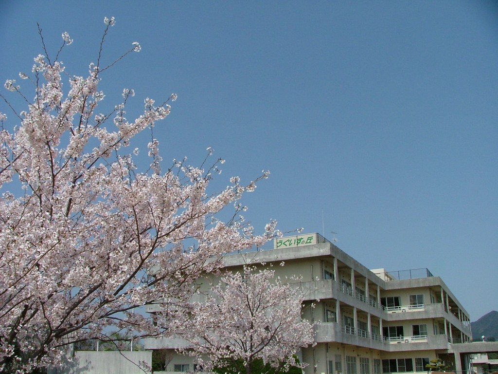 http://nagasaki-ajisai.jp/wp-content/uploads/2016/06/82-5中澤病院併設うぐいすの丘.jpg